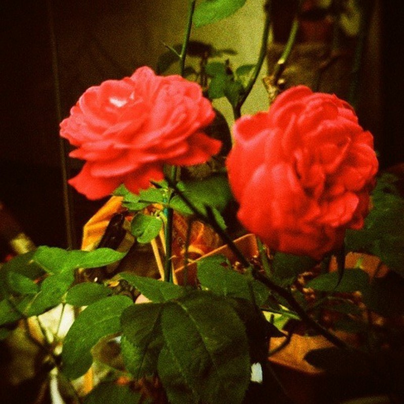 都会の片隅で、、、