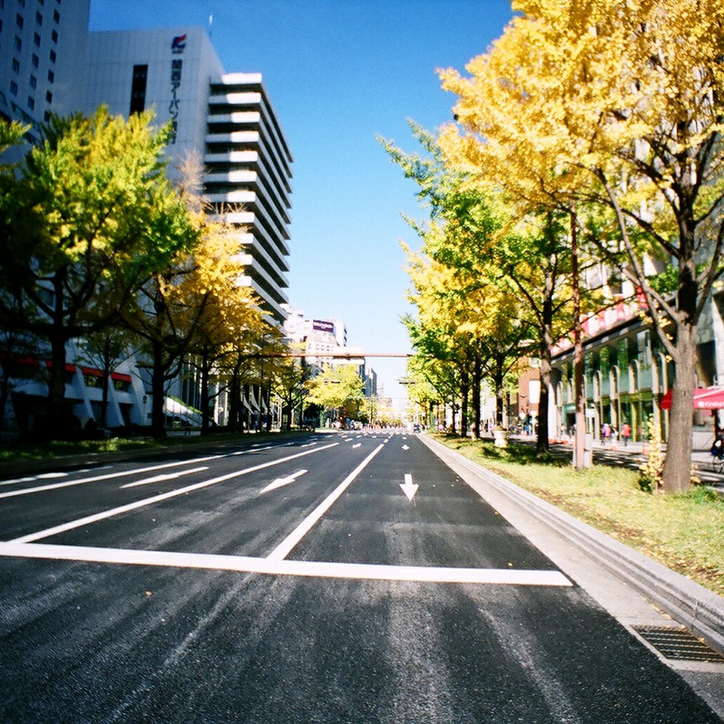 御堂筋 - 大阪2012