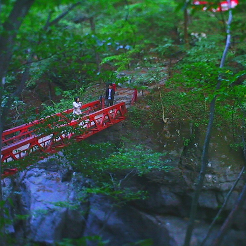 想いを繋ぐ架け橋