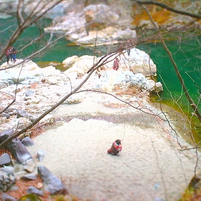 遠くから見つめる