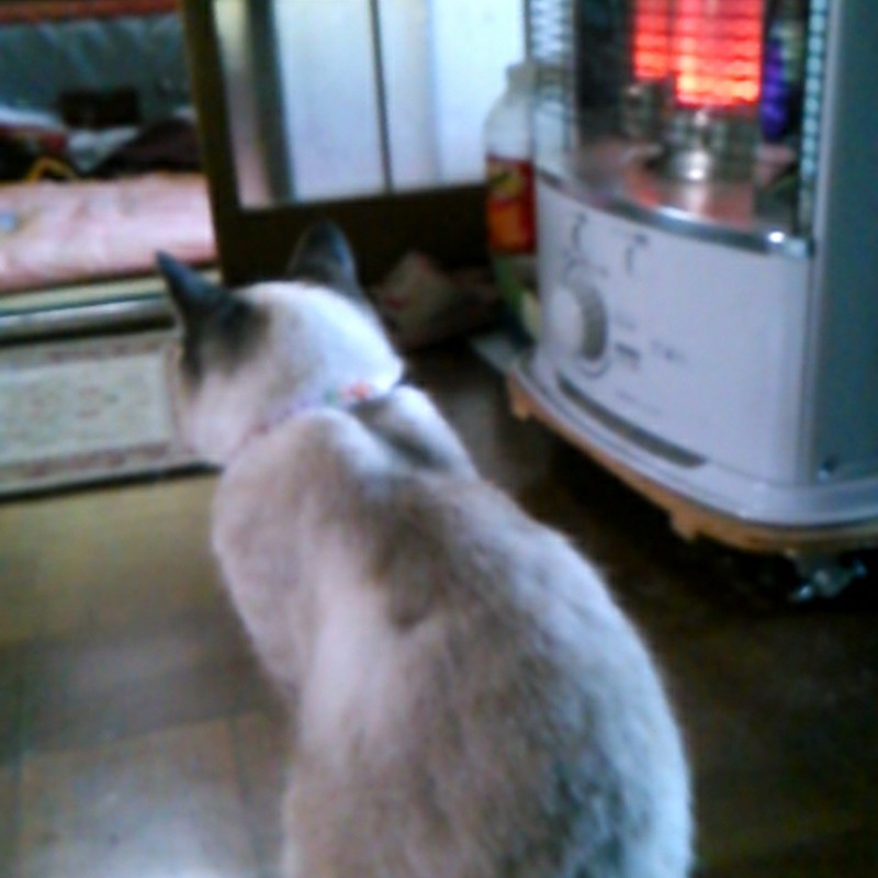 ((*´д`*)) サムゥゥゥ・・・