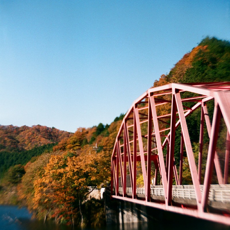 紅葉と橋