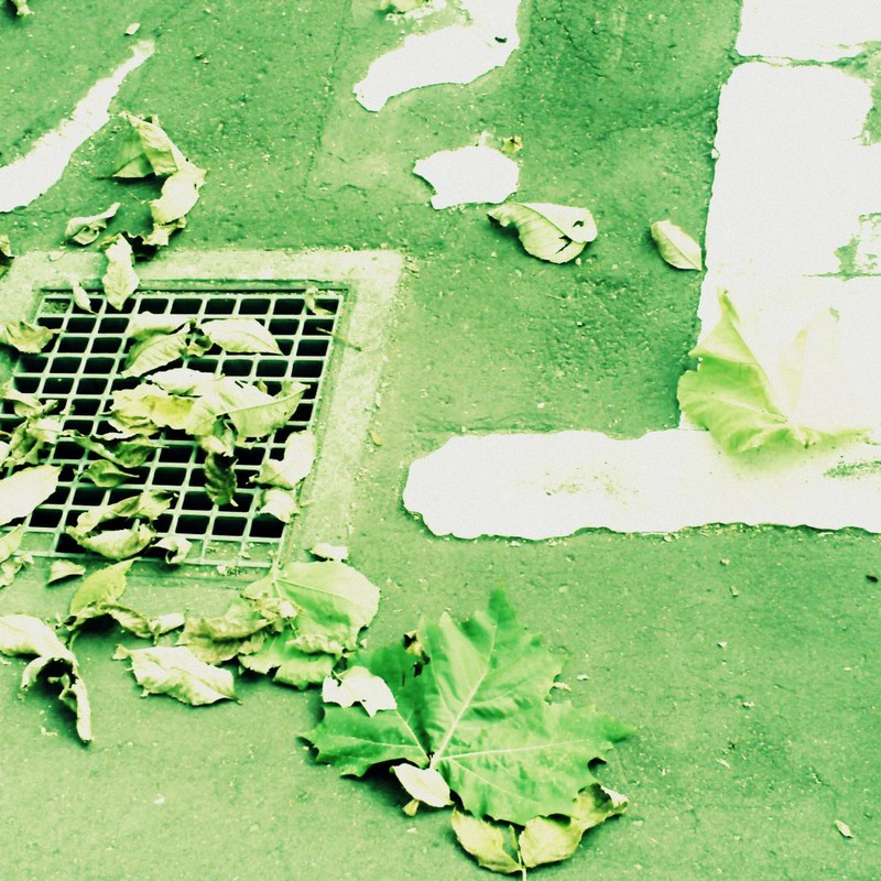 排水溝と枯れ葉