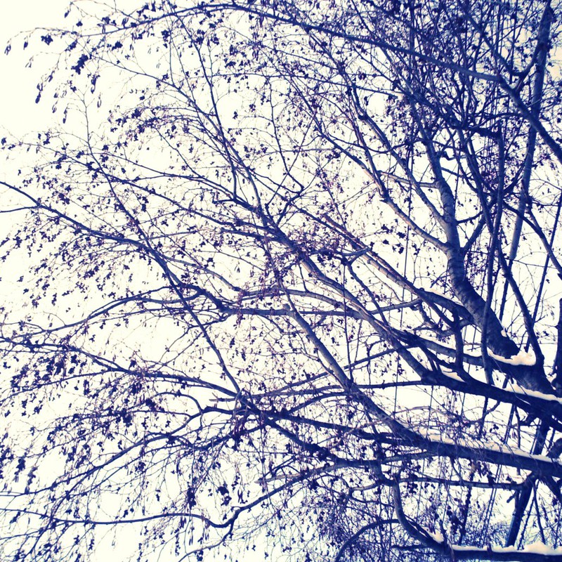 ノスタルジックスノー