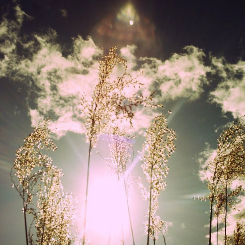 大地と空と太陽