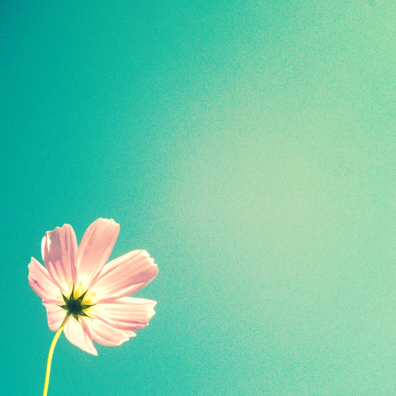 アオゾラ×コスモス❤その3