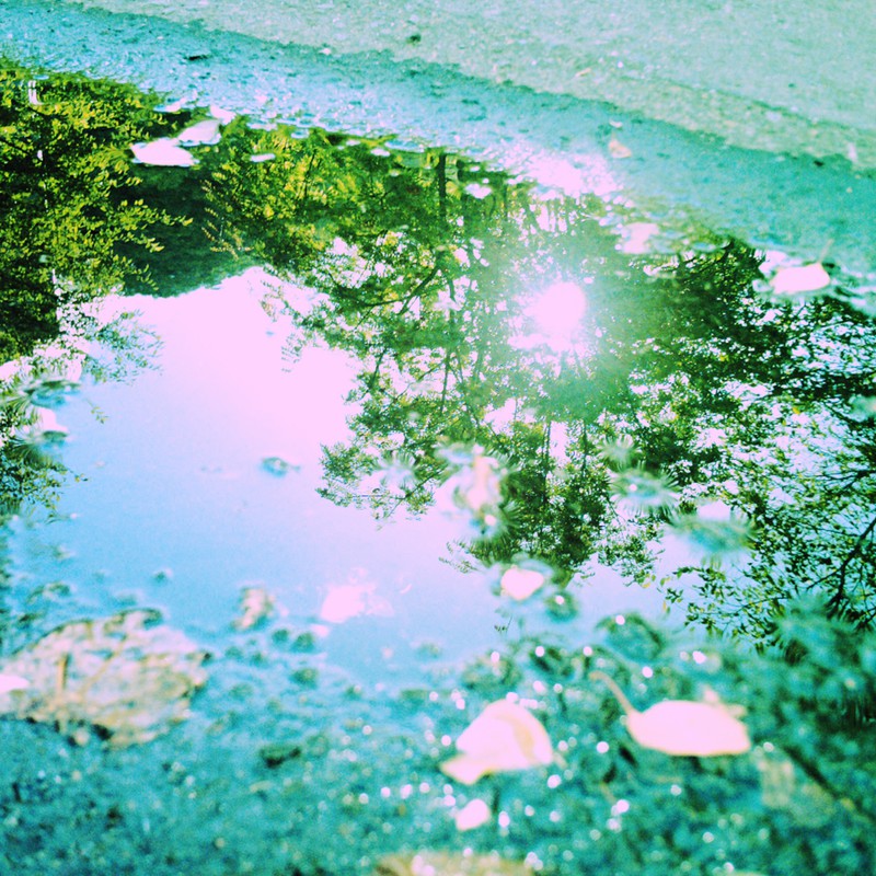 水たまりにキラリ