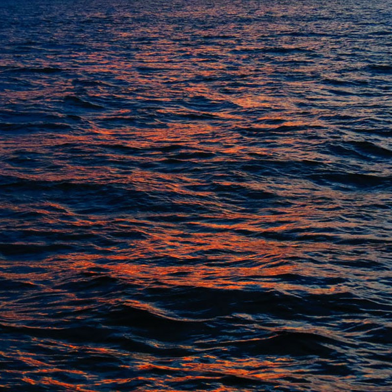夕日に染まる海