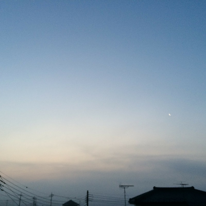 朝靄と三日月