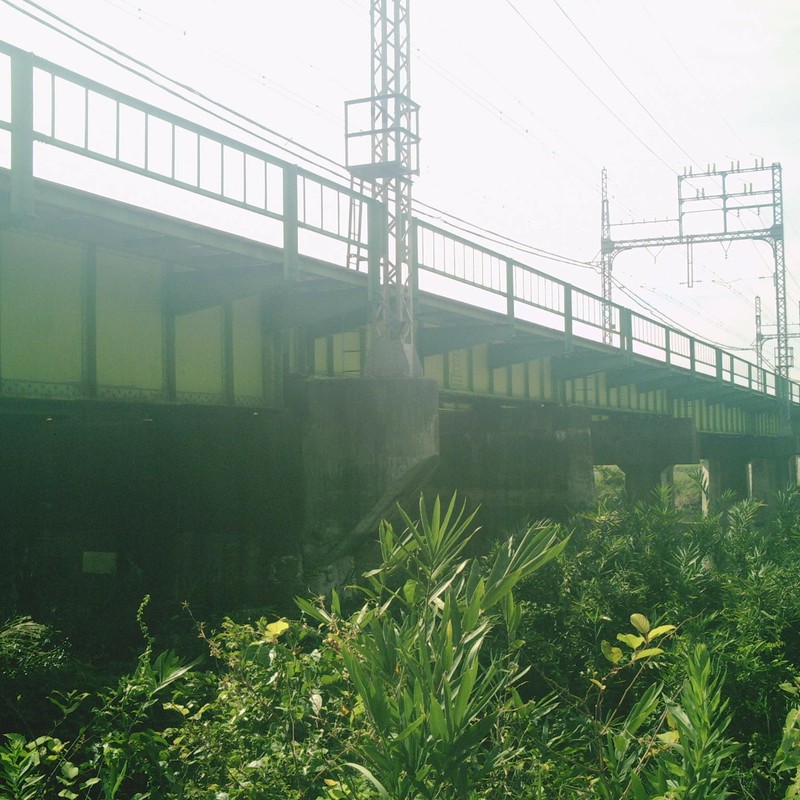 緑の鉄橋