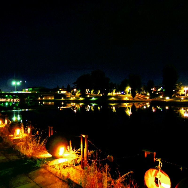 夜の環水公園1