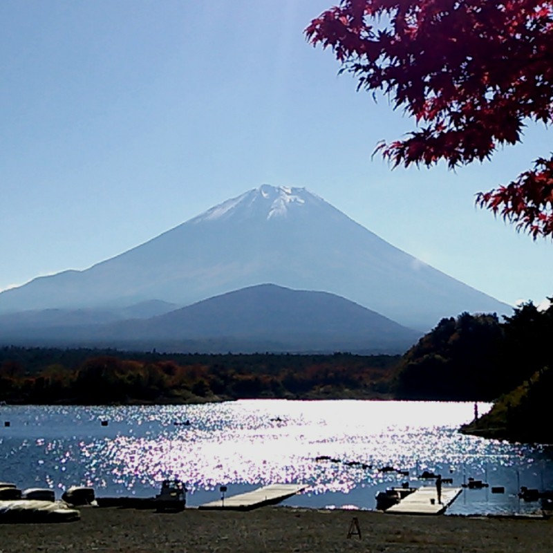 湖と富士