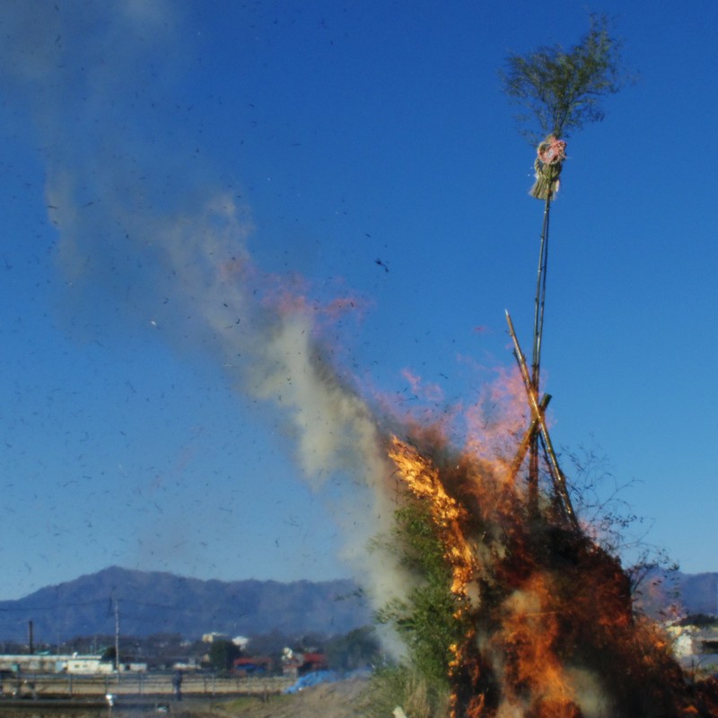 今年も一年元気で