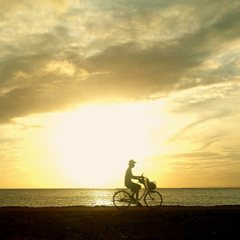 夕陽サイクリング