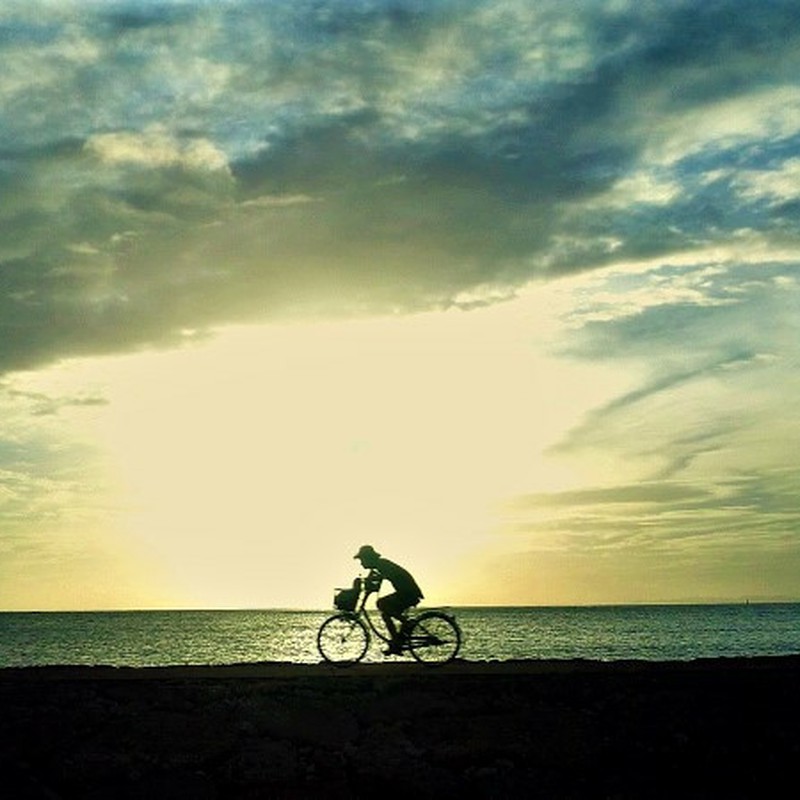 夕陽と自転車