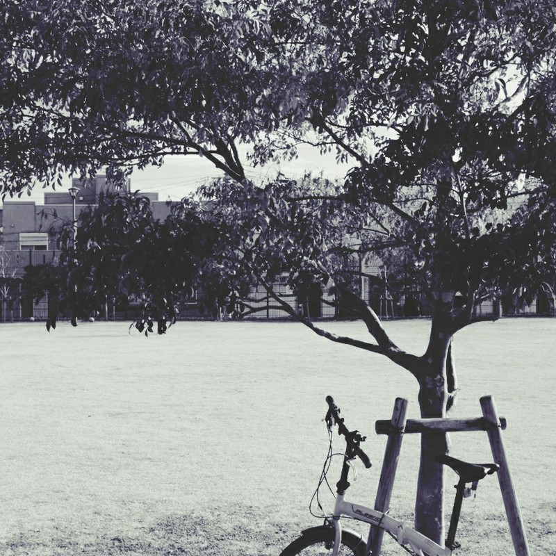 公園にて：自転車のある風景