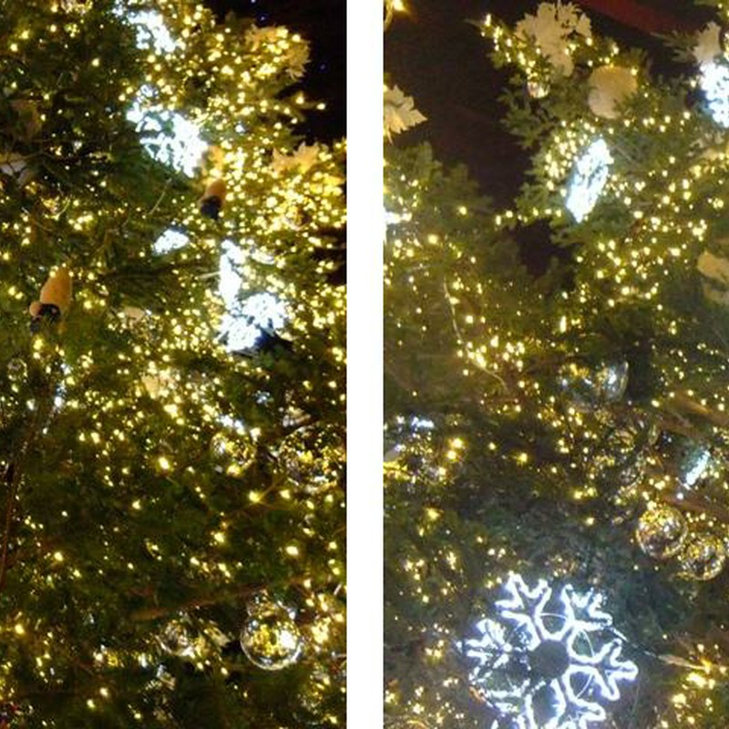 東京タワー下クリスマスツリー