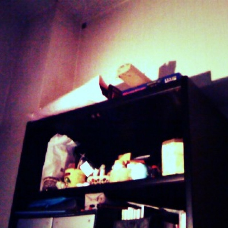 あくまで試し撮り・・・変なものだけど