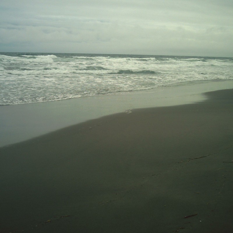 鳴り砂の海岸