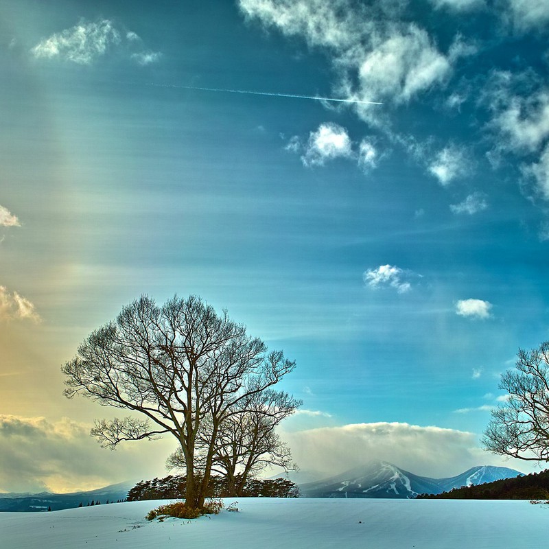 小岩井農場その1