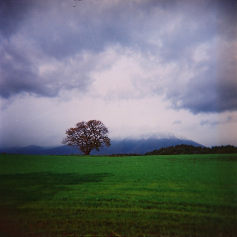 小岩井一本桜♪