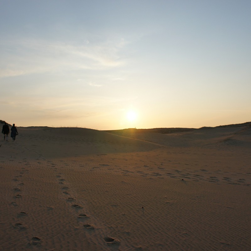 夕暮れの砂漠
