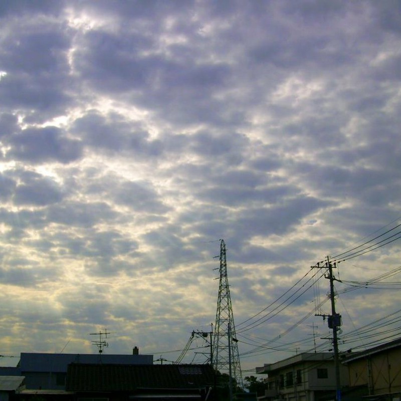 20090911曇り