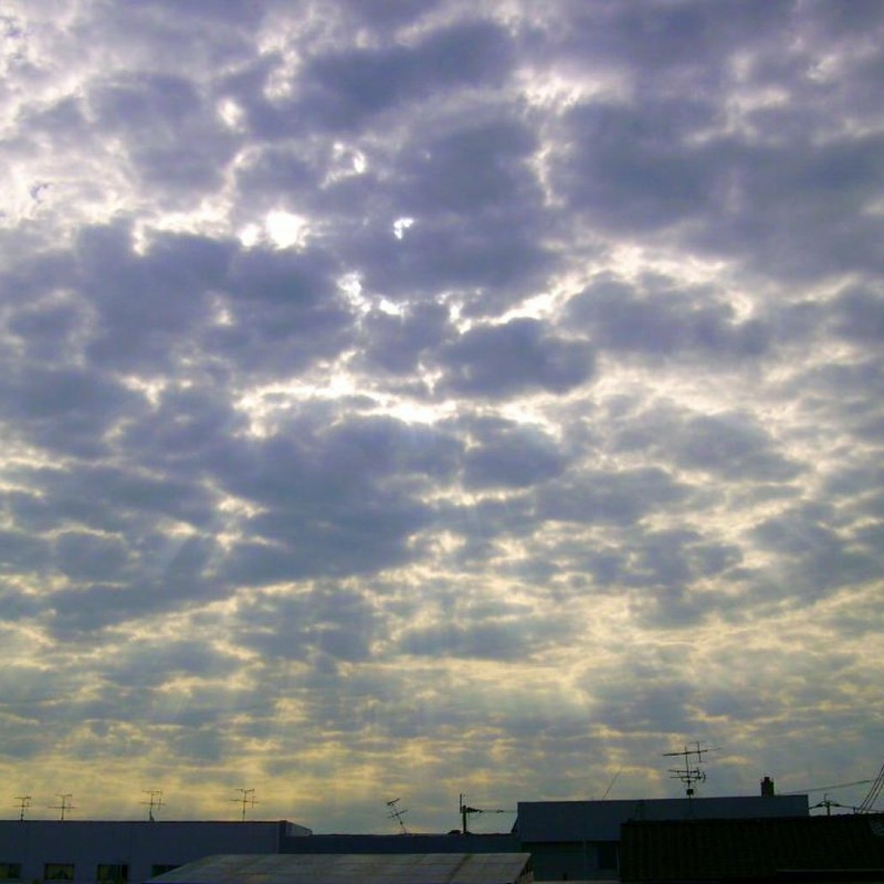 20090911曇り（2）