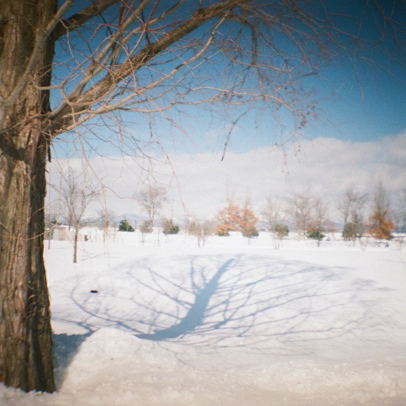 雪のスクリーン