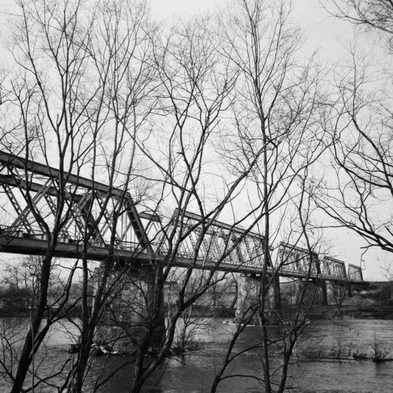 鉄橋と木々