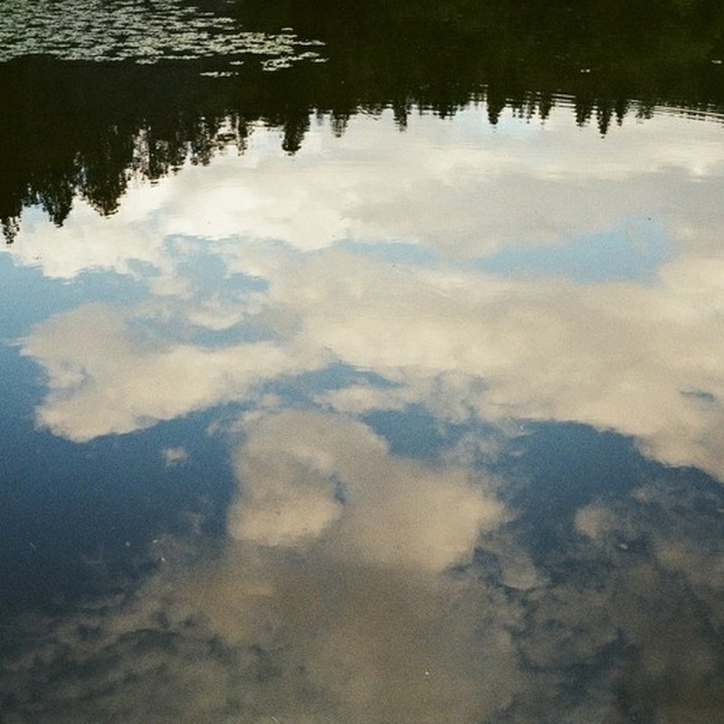 池の空