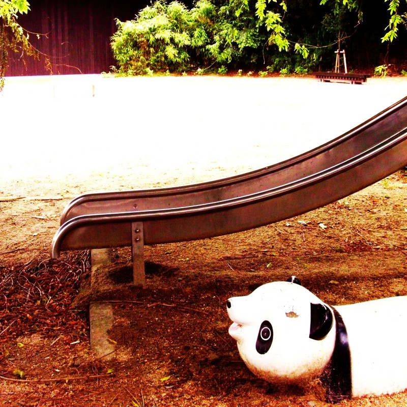 夏の公園、埋もれゆくパンダ