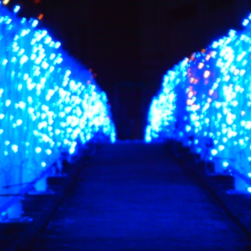 LED化された橋